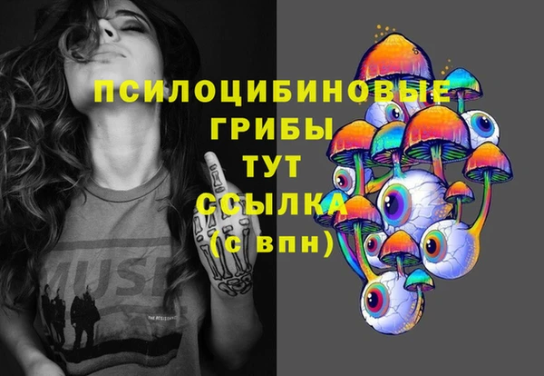 бошки Касимов