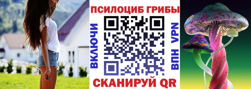 Галлюциногенные грибы ЛСД  Купить закладки  Бокситогорск 